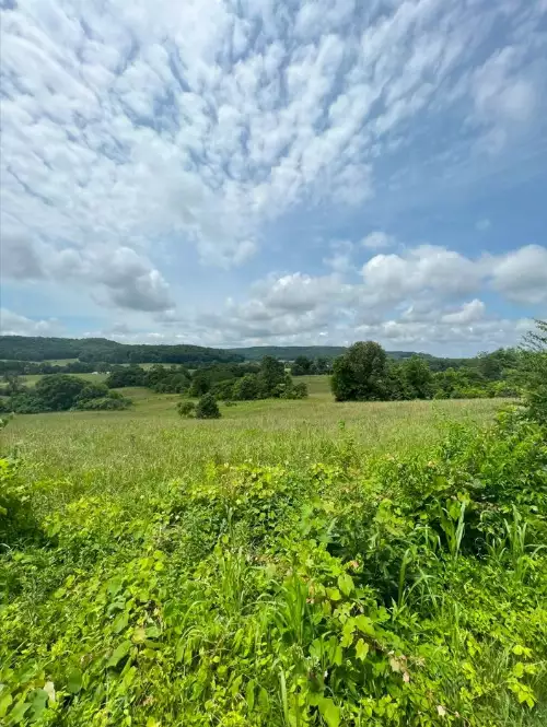 Hollis Stockton Ln, Livingston, TN  38570