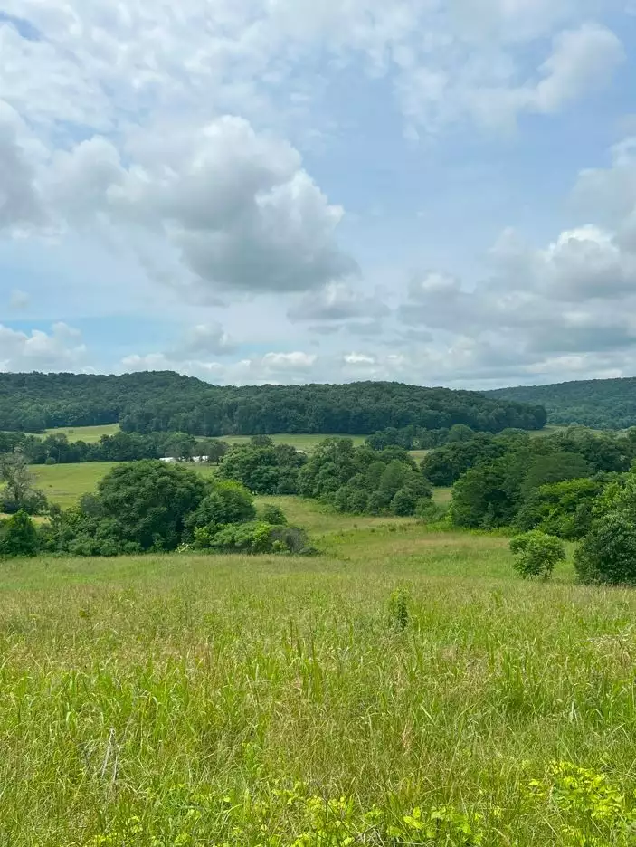 Hollis Stockton Ln, Livingston, TN  38570