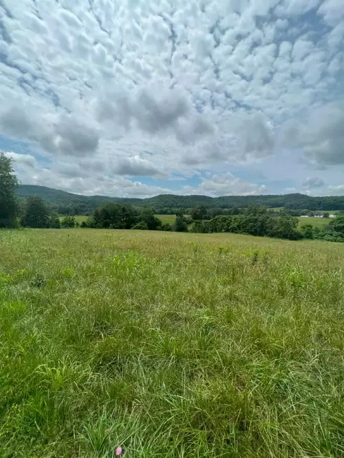 Hollis Stockton Ln, Livingston, TN  38570