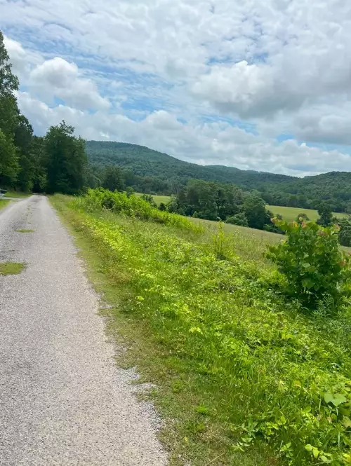 Hollis Stockton Ln, Livingston, TN  38570