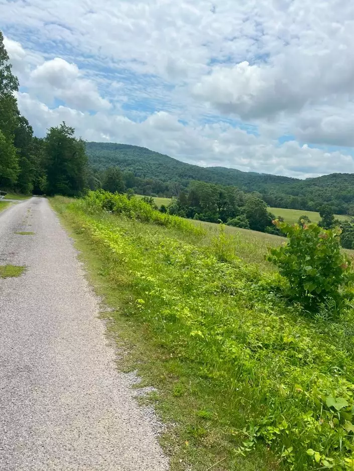 Hollis Stockton Ln, Livingston, TN  38570