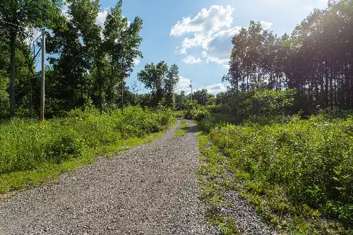 411 Fay Creek Rd, Wartrace, TN  37183