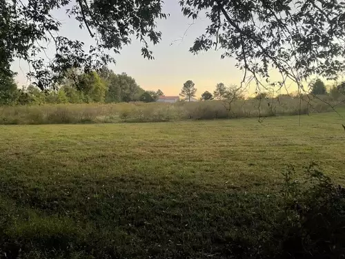 6160 Underwood Rd, Springfield, TN  37172