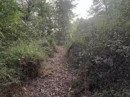 6160 Underwood Rd, Springfield, TN  37172