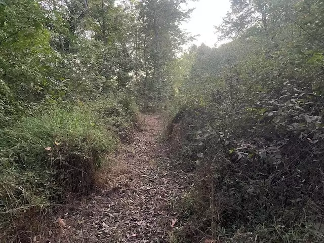 6160 Underwood Rd, Springfield, TN  37172