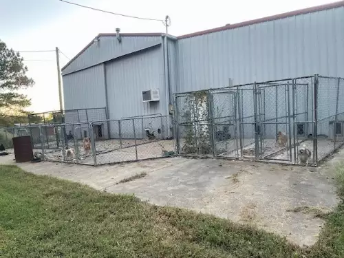 6160 Underwood Rd, Springfield, TN  37172