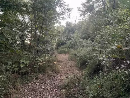 6160 Underwood Rd, Springfield, TN  37172