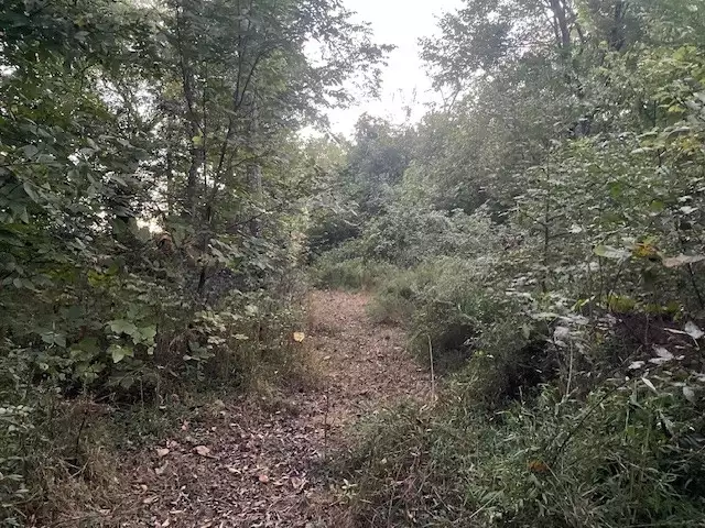 6160 Underwood Rd, Springfield, TN  37172