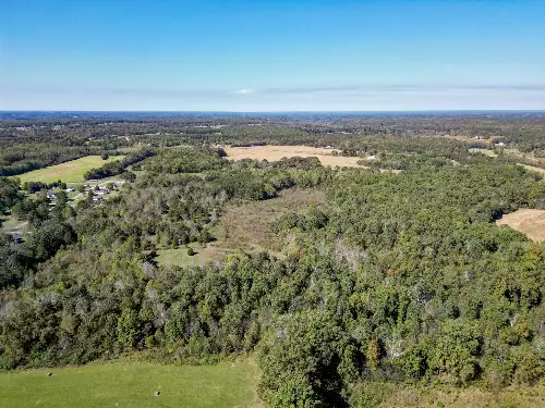 Buffalo Road, Summertown, TN  38483