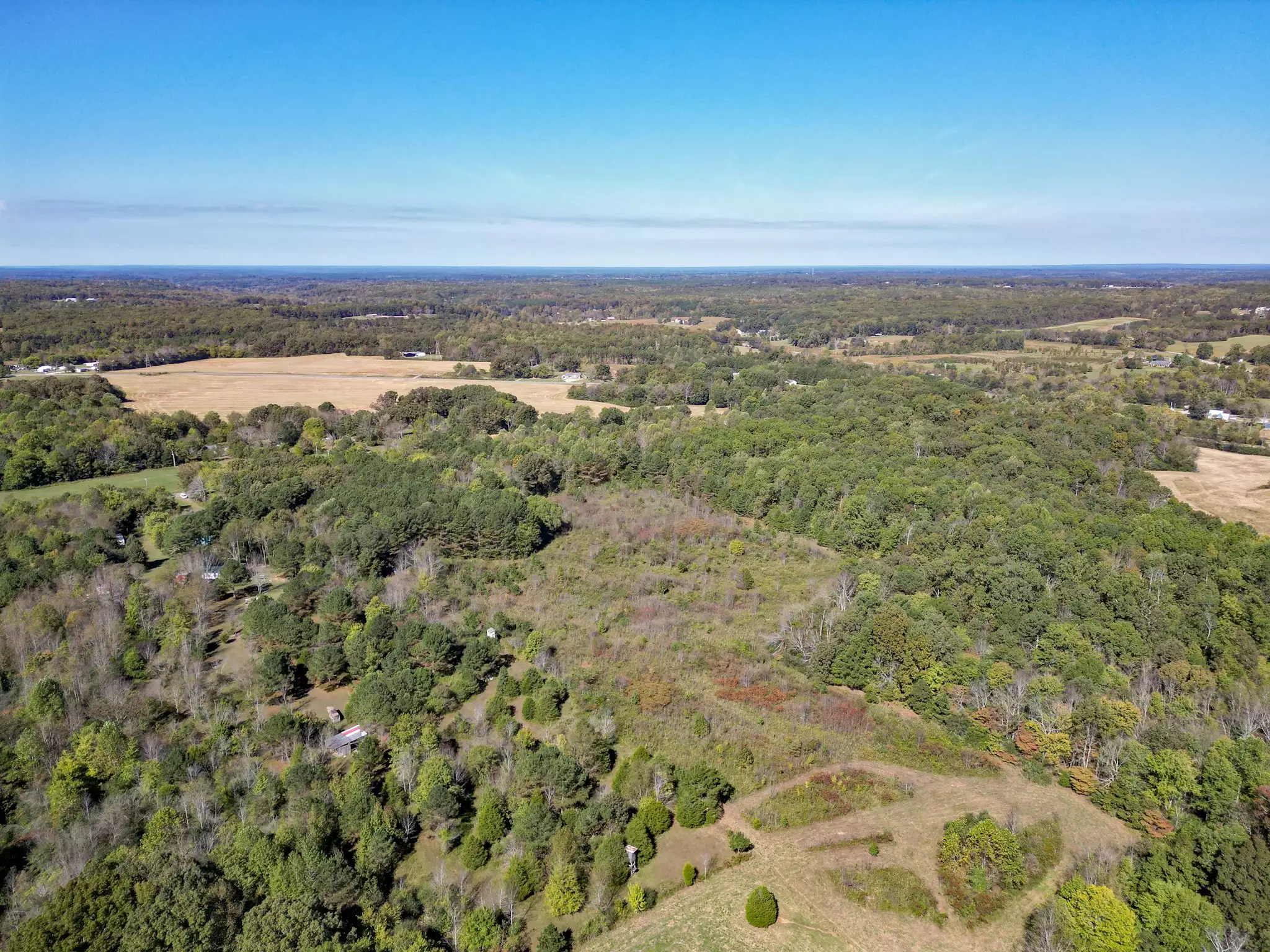 Buffalo Road, Summertown, TN  38483