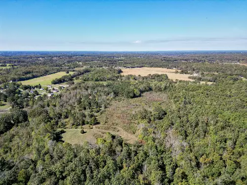 Buffalo Road, Summertown, TN  38483