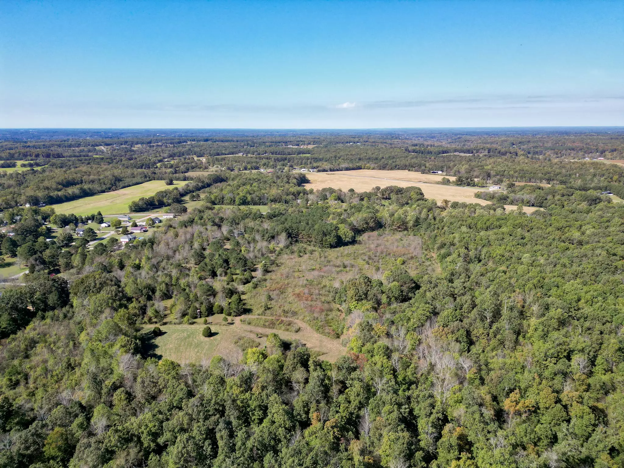 Buffalo Road, Summertown, TN  38483