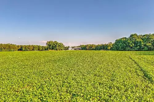 500 Old Pencil Mill Rd, Chapel Hill, TN  37034