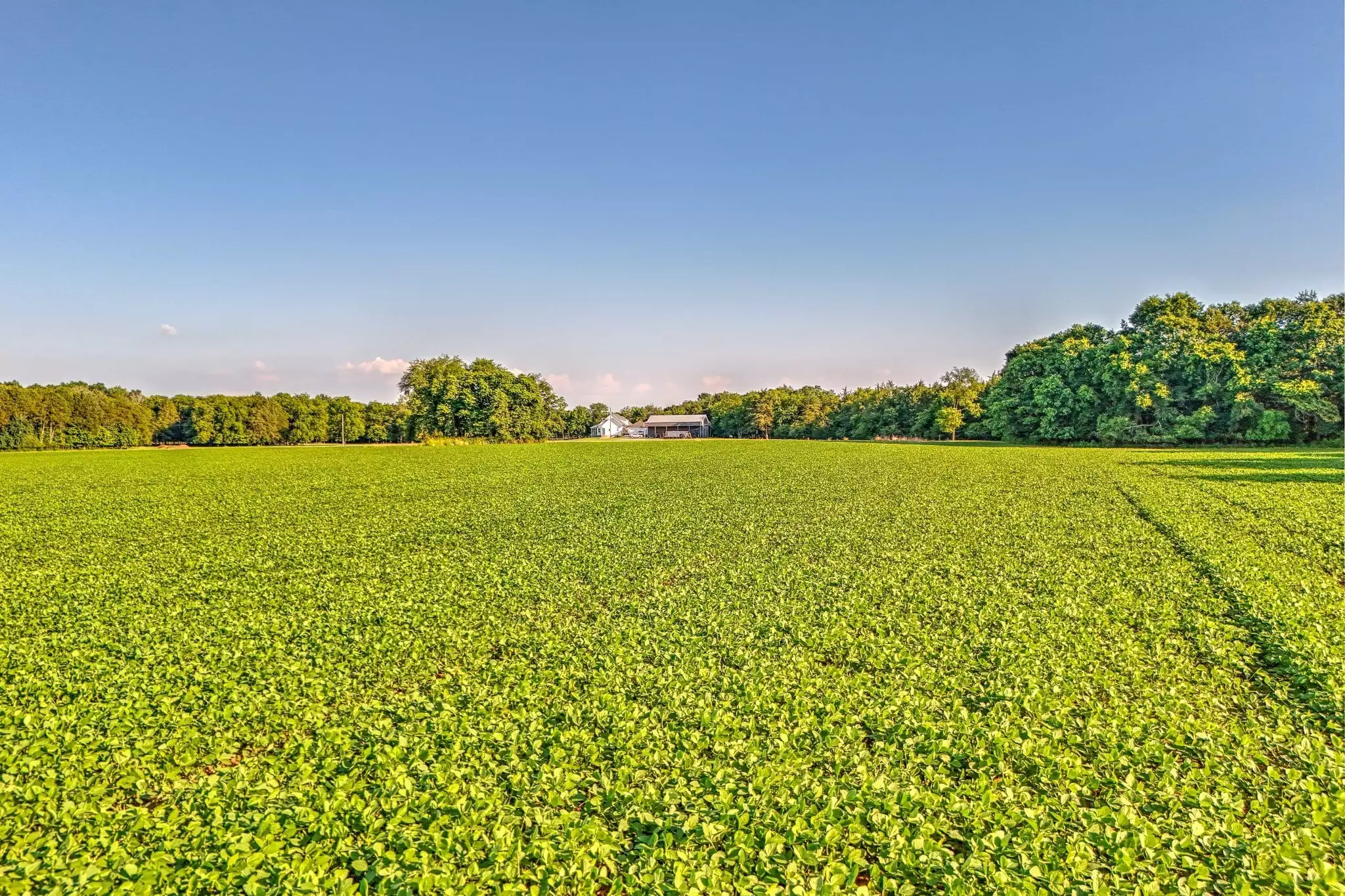 500 Old Pencil Mill Rd, Chapel Hill, TN  37034