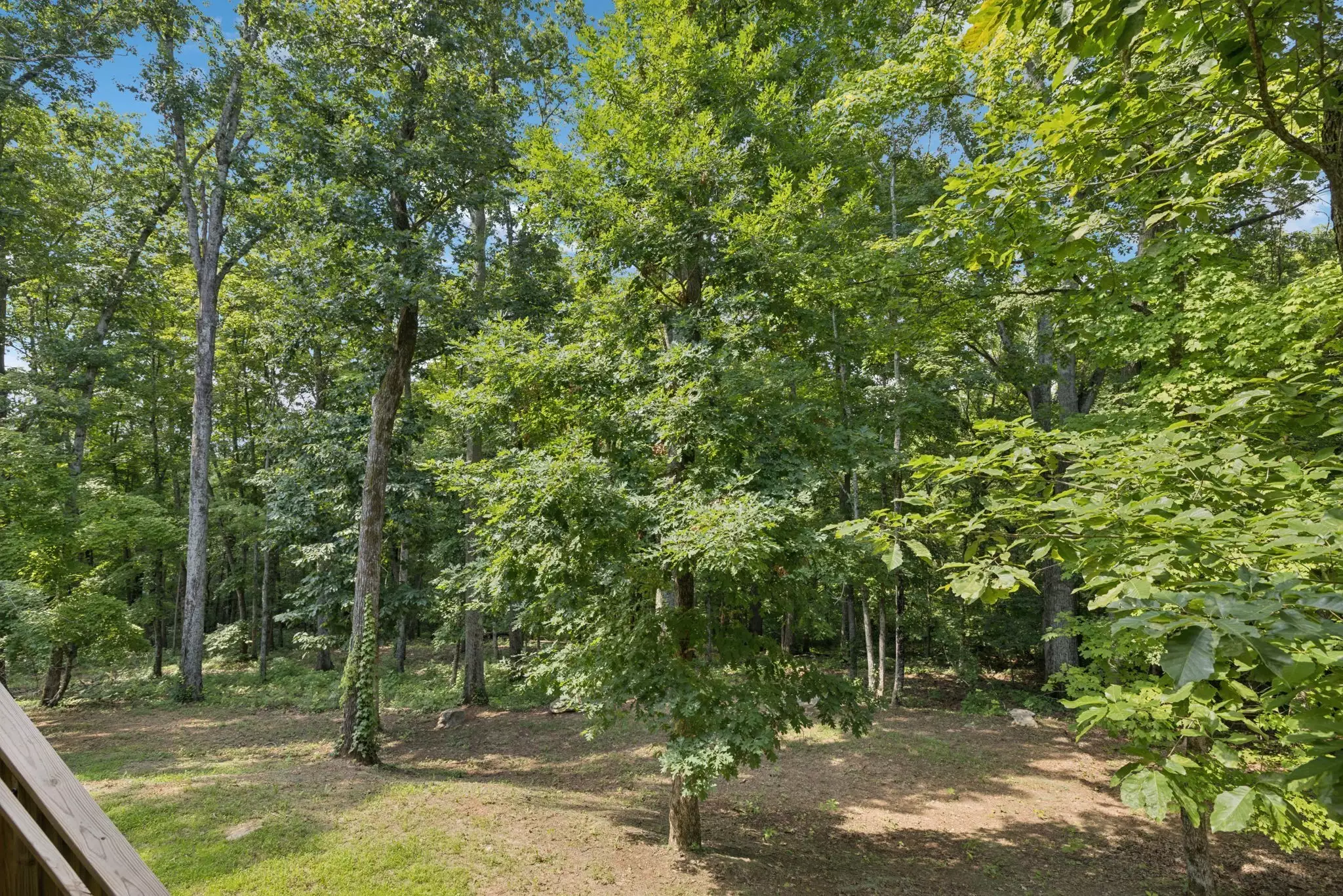 1556 Heller Rdg, Spring Hill, TN  37174