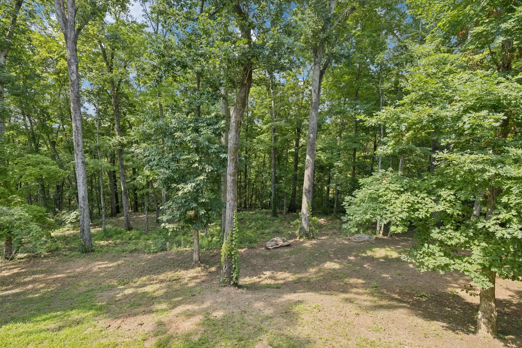 1556 Heller Rdg, Spring Hill, TN  37174