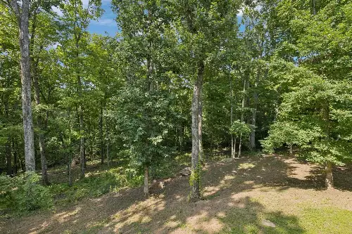 1556 Heller Rdg, Spring Hill, TN  37174