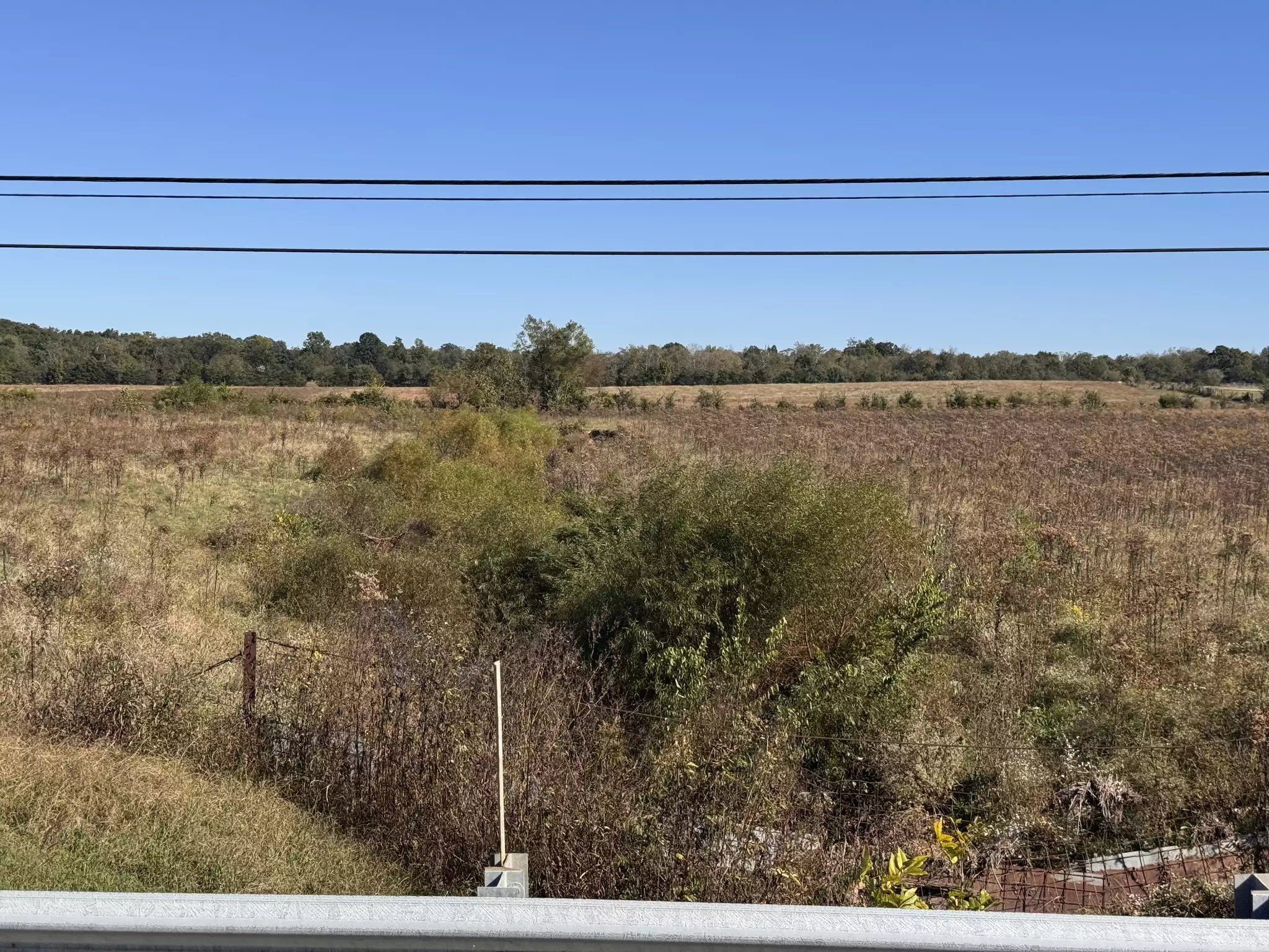 Hwy 231, Shelbyville, TN  37160