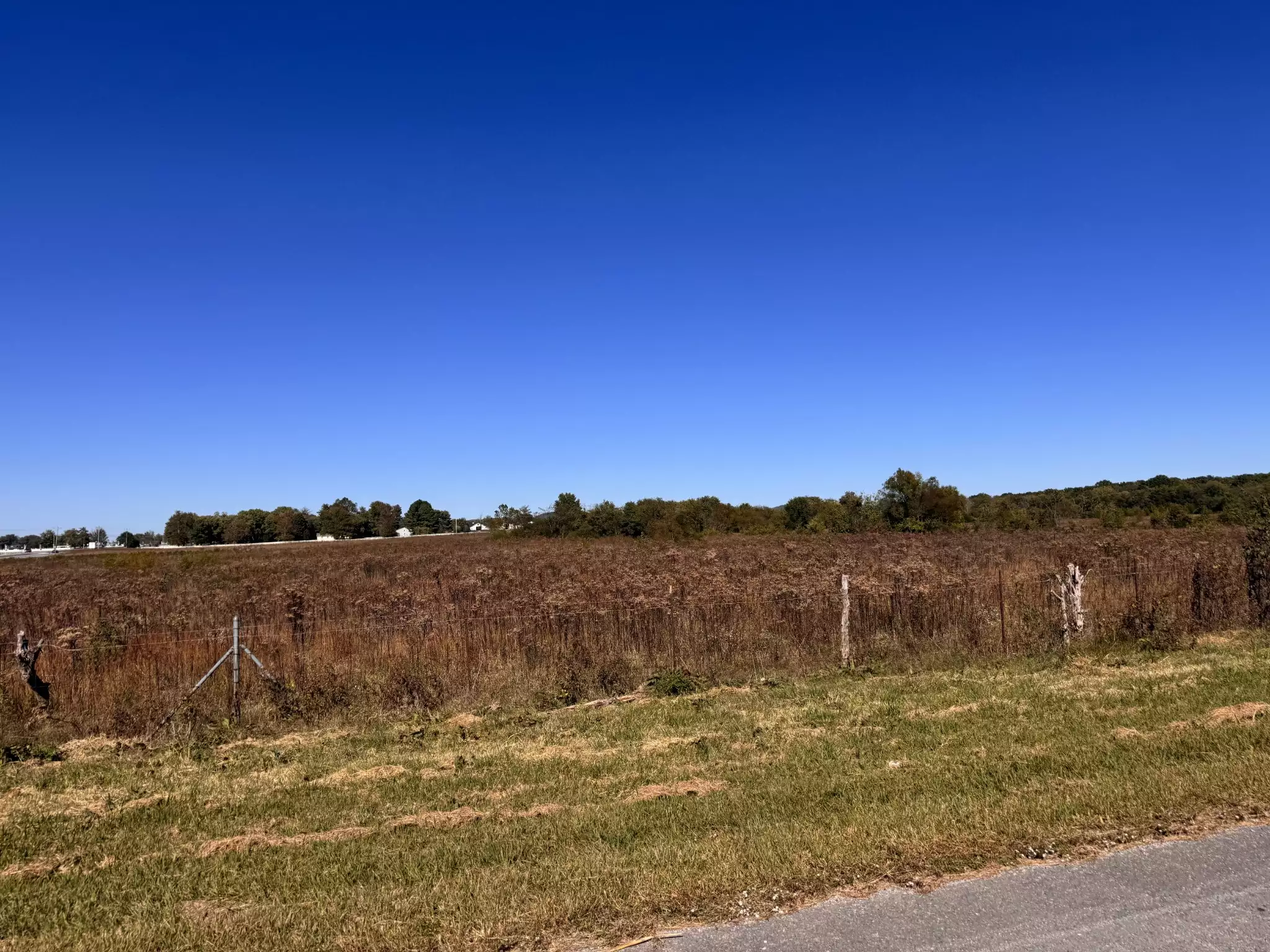 Hwy 231, Shelbyville, TN  37160