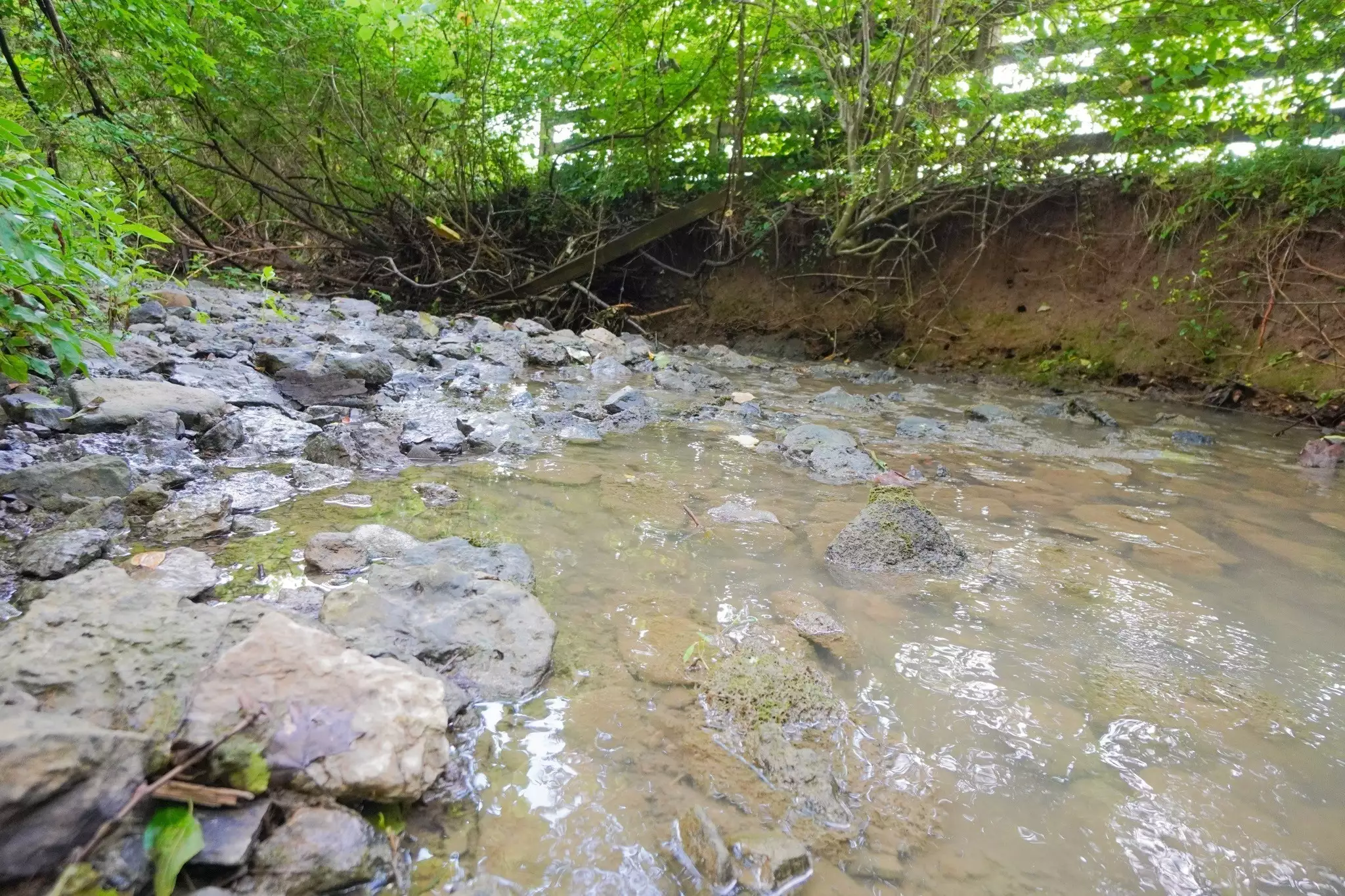 1094B Center Point Rd, Hendersonville, TN  37075