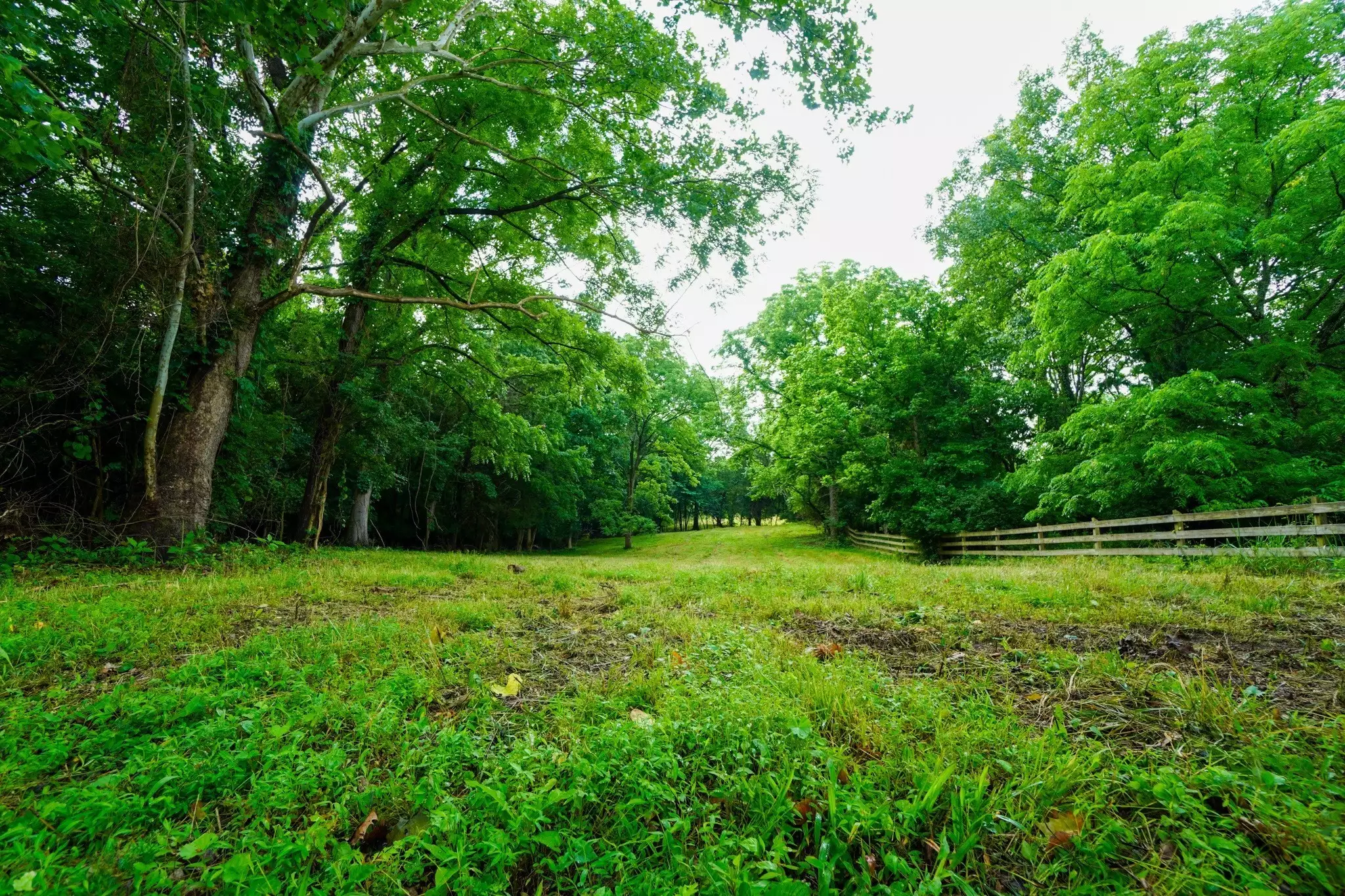 1094B Center Point Rd, Hendersonville, TN  37075