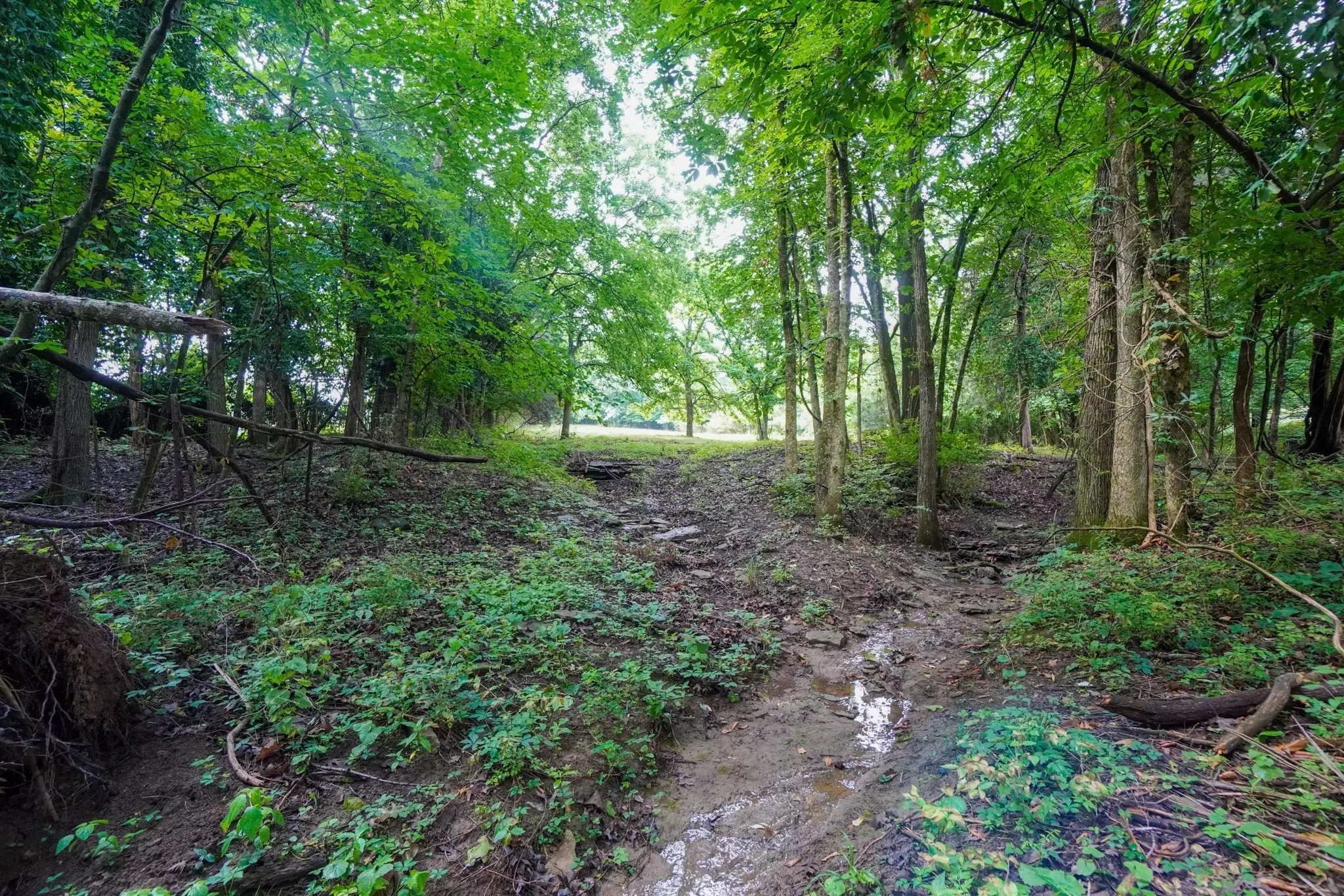 1094B Center Point Rd, Hendersonville, TN  37075