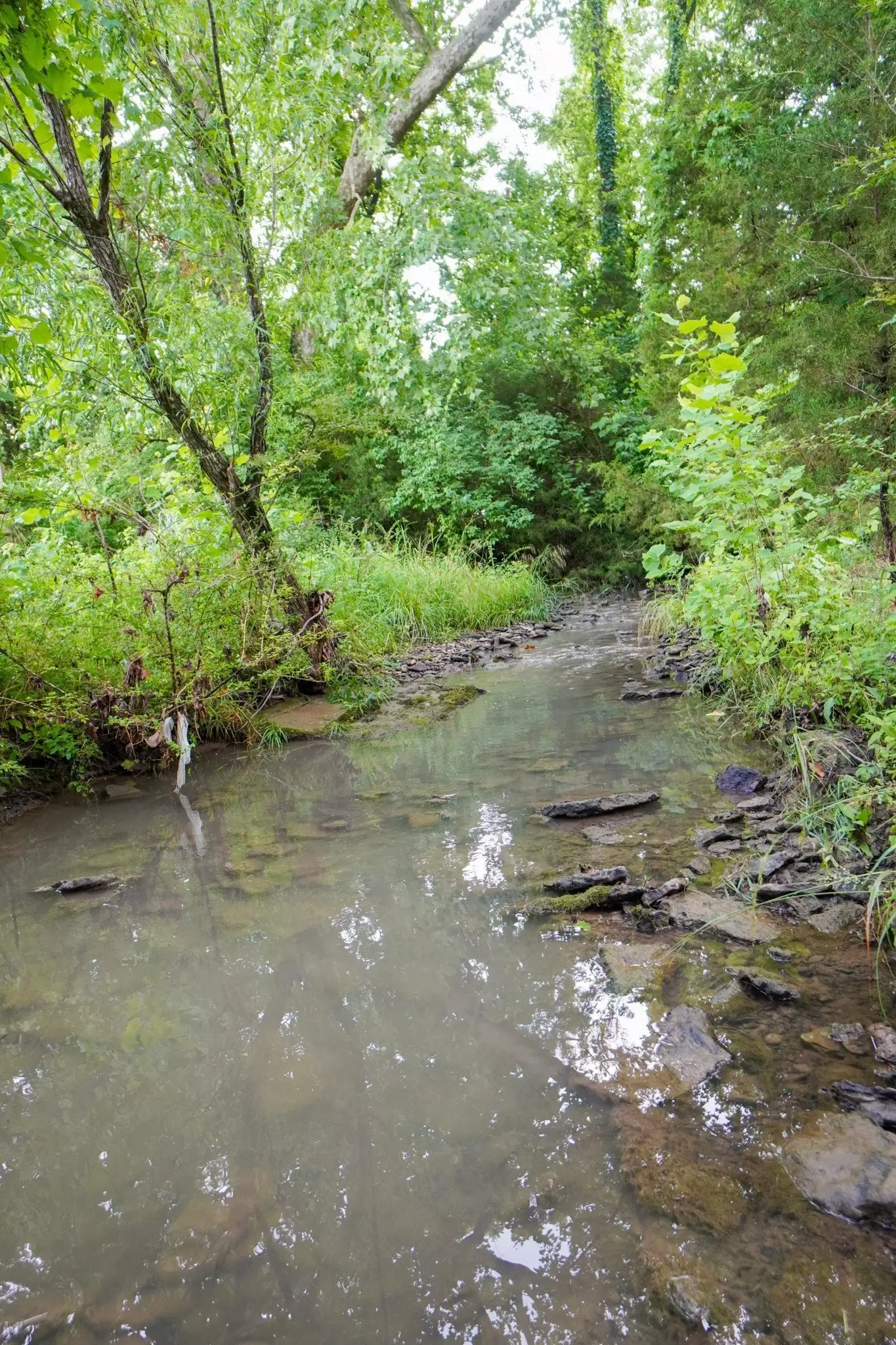 1094B Center Point Rd, Hendersonville, TN  37075