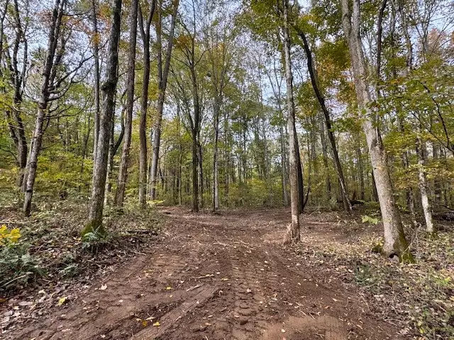 Barren Fork Drive, Bon Aqua, TN  37025