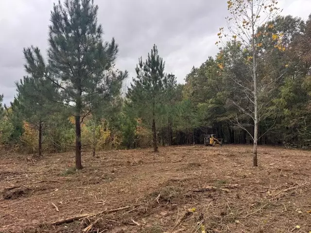 Barren Fork Drive, Bon Aqua, TN  37025