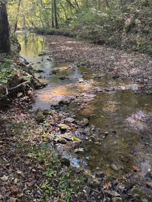 Barren Fork Drive, Bon Aqua, TN  37025