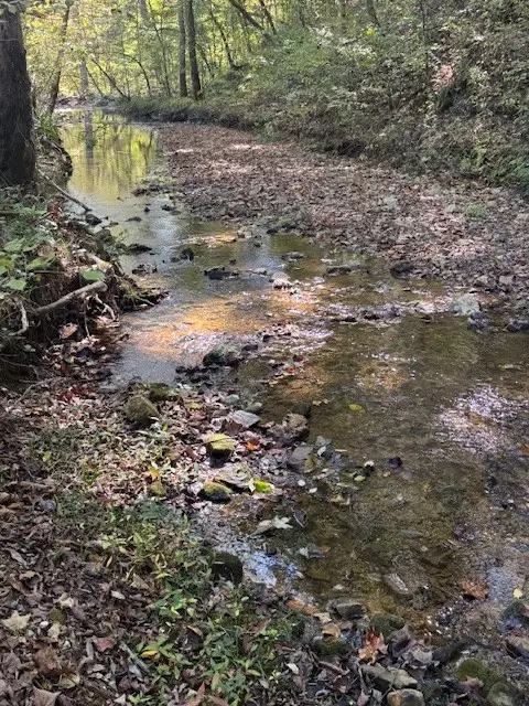 Barren Fork Drive, Bon Aqua, TN  37025