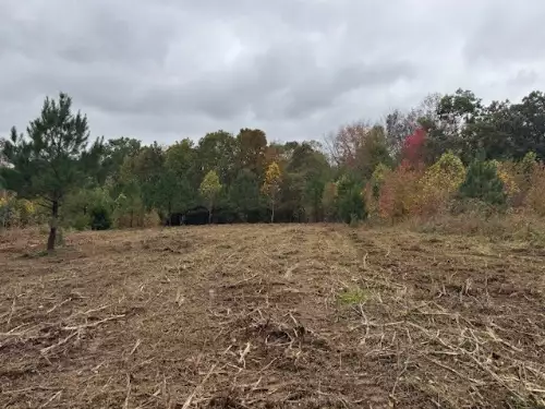 Barren Fork Drive, Bon Aqua, TN  37025