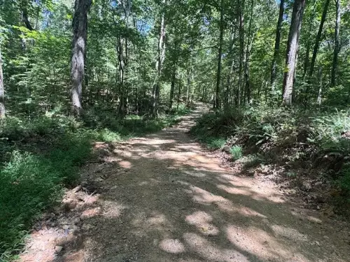 Barren Fork Drive, Bon Aqua, TN  37025