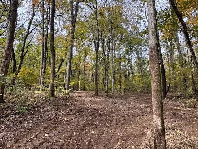 Barren Fork Drive, Bon Aqua, TN  37025