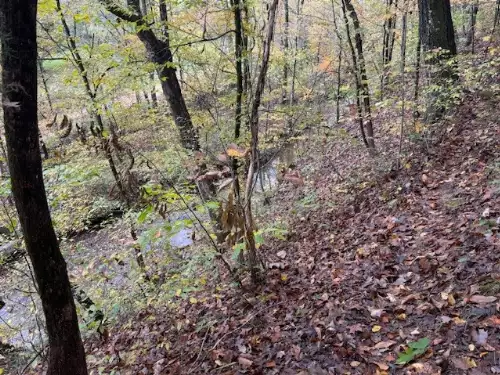 Barren Fork Drive, Bon Aqua, TN  37025