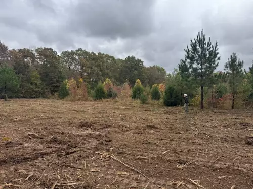 Barren Fork Drive, Bon Aqua, TN  37025