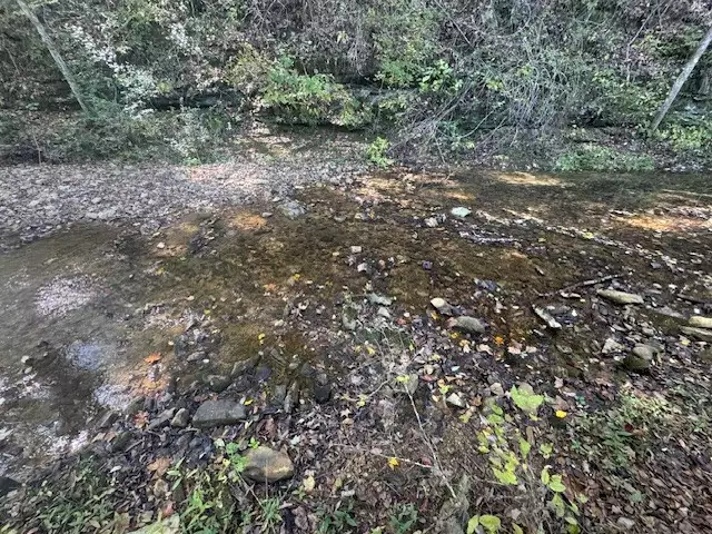 Barren Fork Drive, Bon Aqua, TN  37025