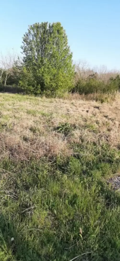 Rock Crusher Rd, Lewisburg, TN  37091