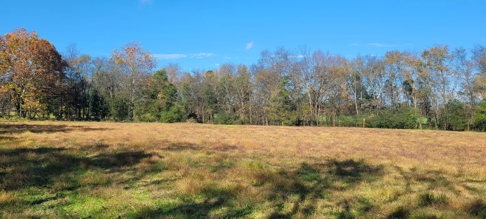 8 Farris Lane, Shelbyville, TN  37160