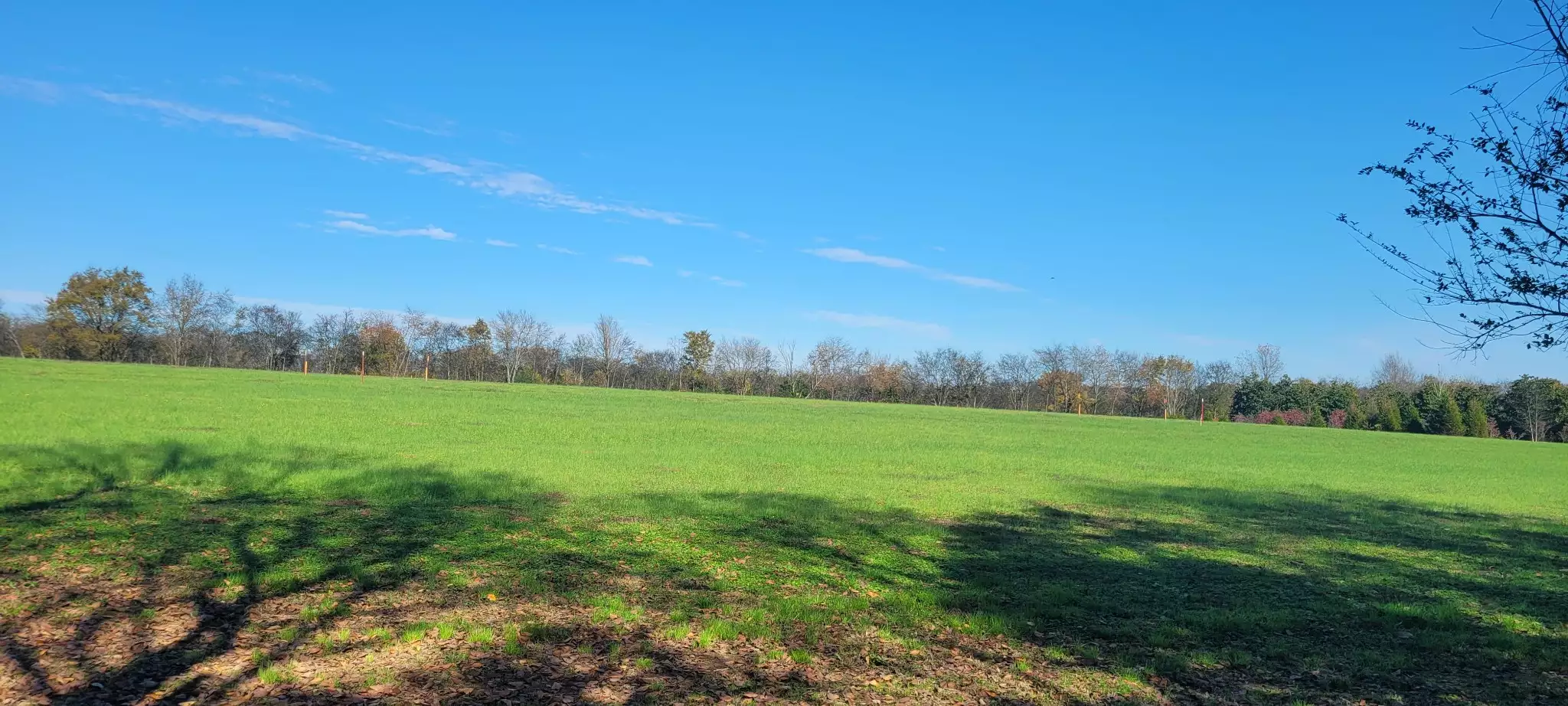 8 Farris Lane, Shelbyville, TN  37160