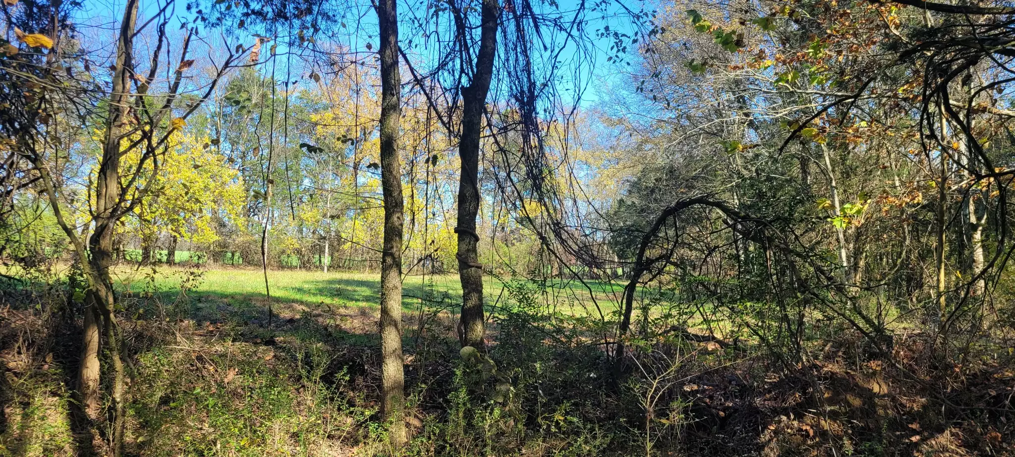 8 Farris Lane, Shelbyville, TN  37160