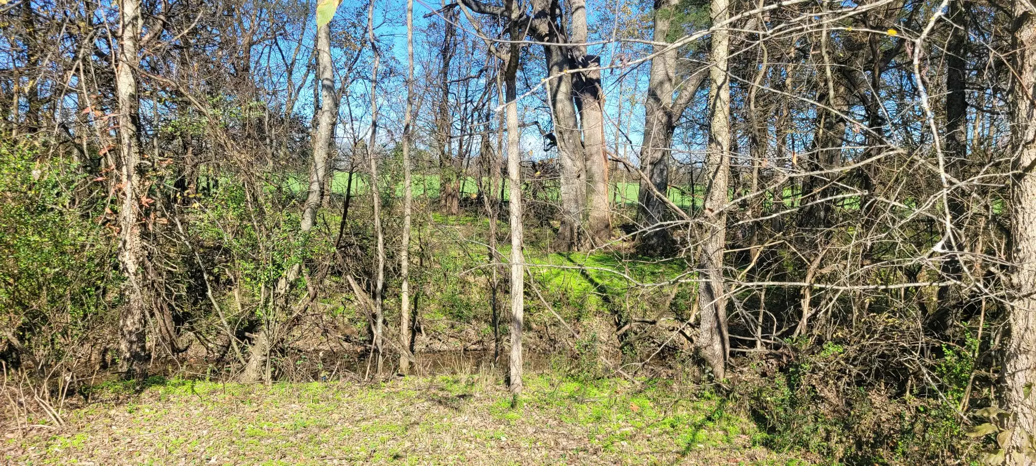 8 Farris Lane, Shelbyville, TN  37160