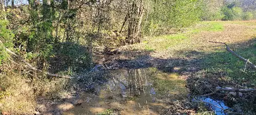 8 Farris Lane, Shelbyville, TN  37160