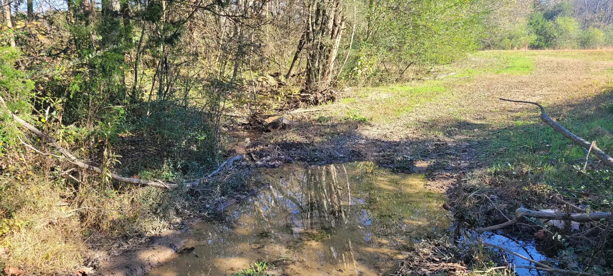 8 Farris Lane, Shelbyville, TN  37160