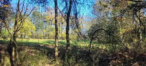 8 Farris Lane, Shelbyville, TN  37160