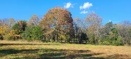 8 Farris Lane, Shelbyville, TN  37160