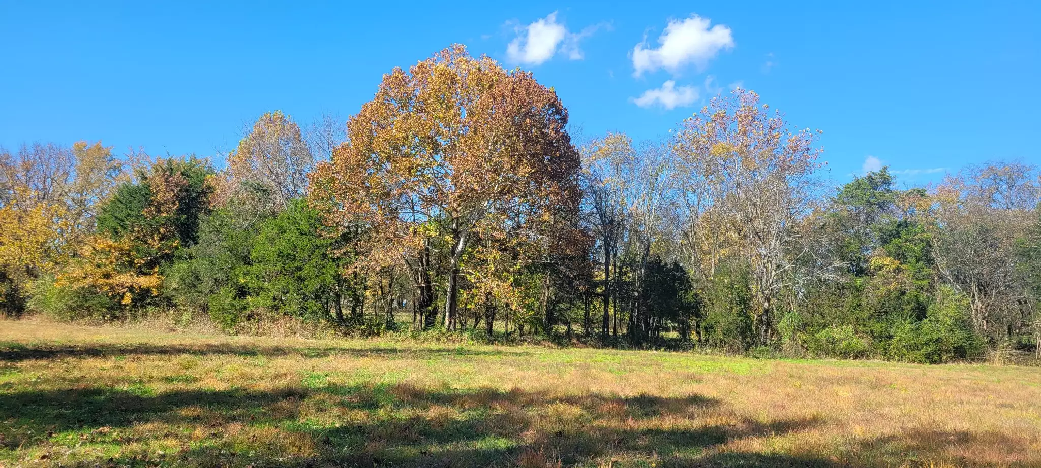 8 Farris Lane, Shelbyville, TN  37160