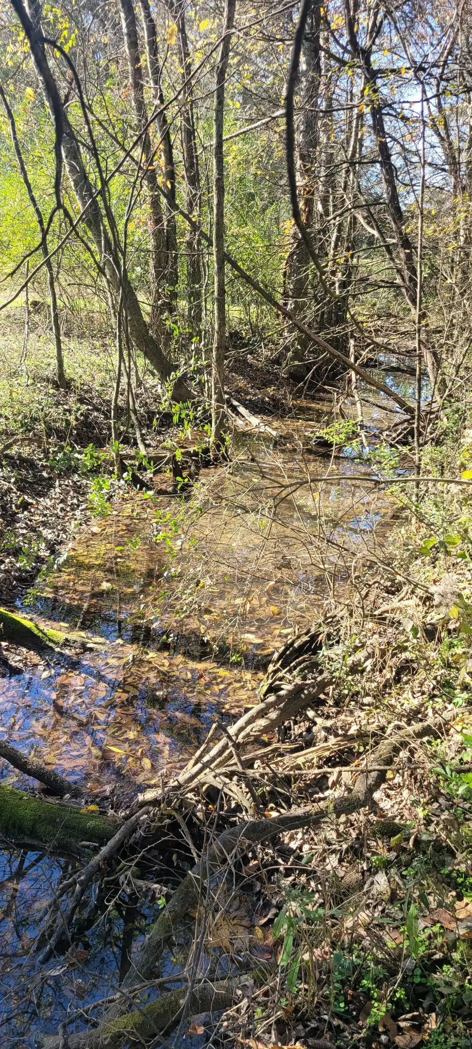 8 Farris Lane, Shelbyville, TN  37160