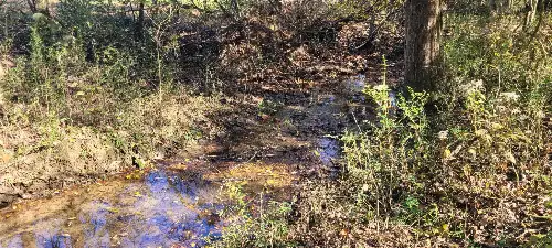 8 Farris Lane, Shelbyville, TN  37160