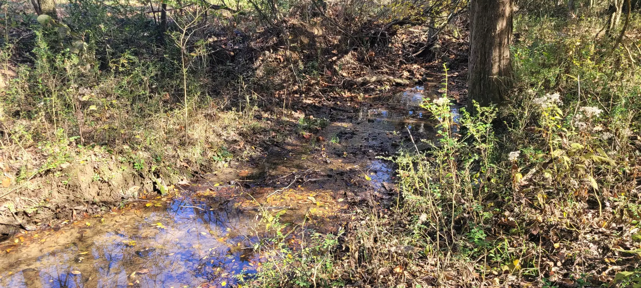 8 Farris Lane, Shelbyville, TN  37160